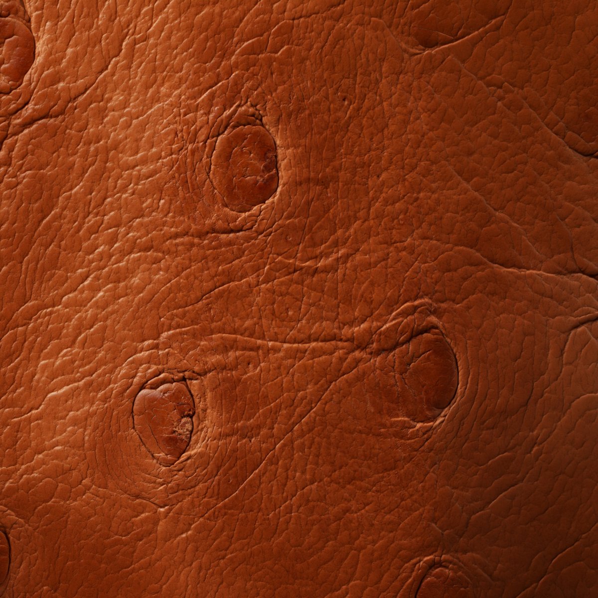 Ostrich Cognac leather texture