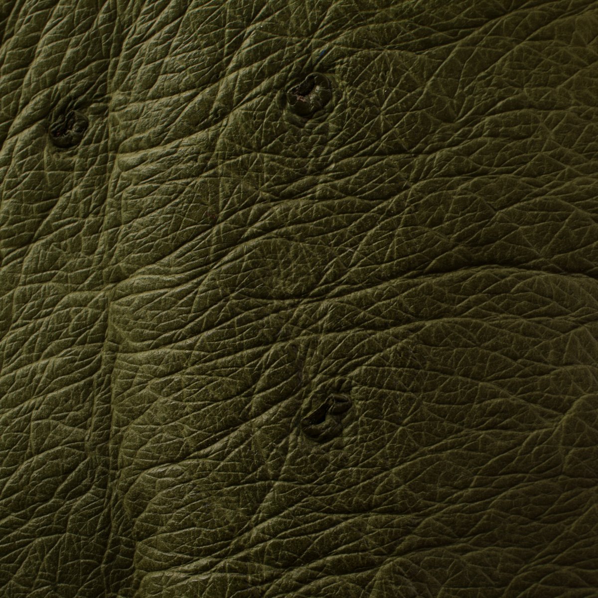 Ostrich Green leather texture