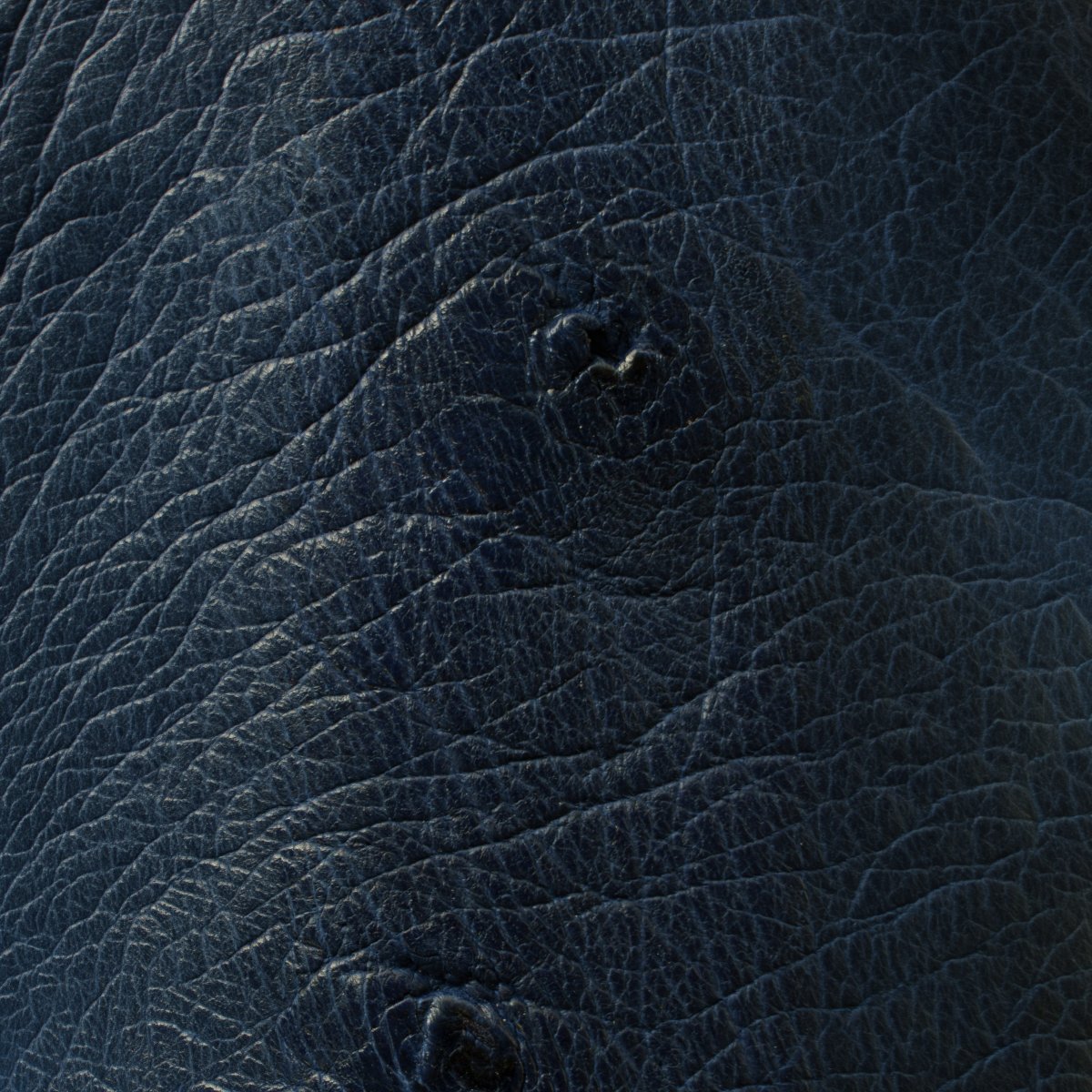 Ostrich Navy leather texture