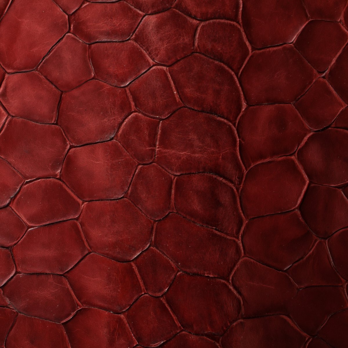 Rooster Leg Burgundy leather texture
