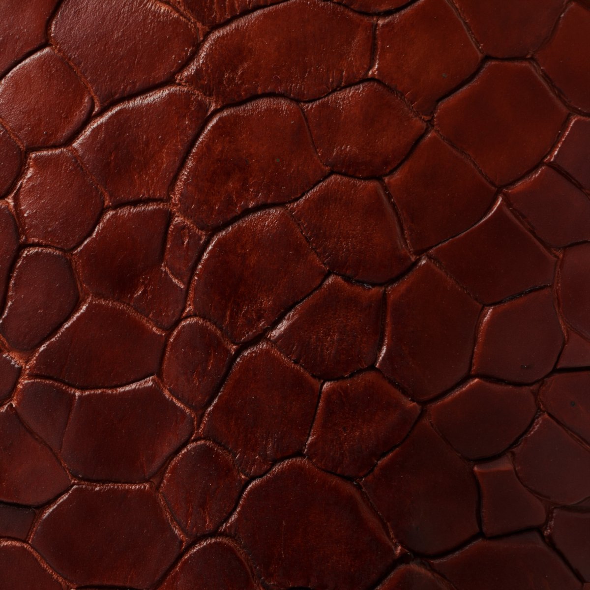 Rooster Leg Cognac leather texture