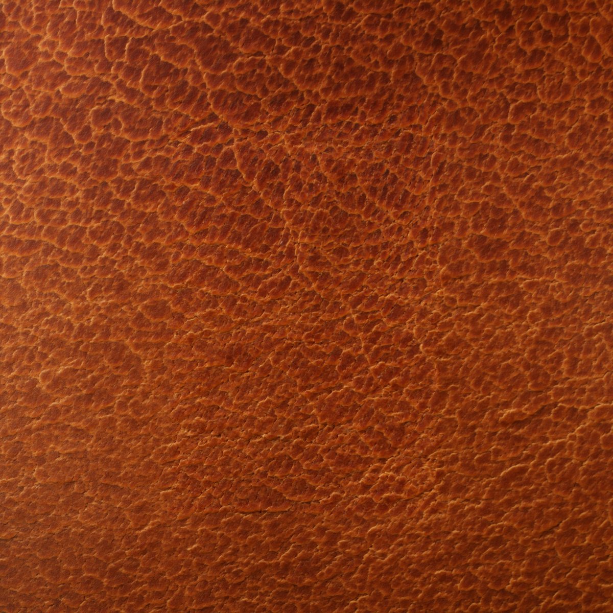 Wax Patina Honey leather texture